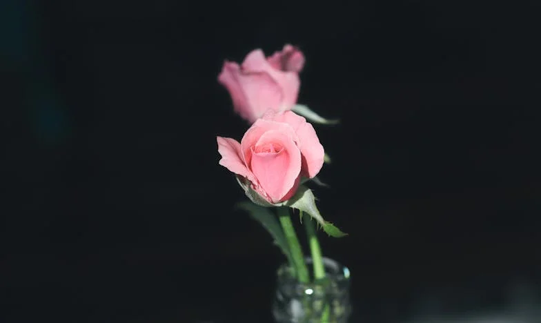 Menekülj, mielőtt túl késő – Egy magyar nő története a látszat boldogságról és a szabadság áráról