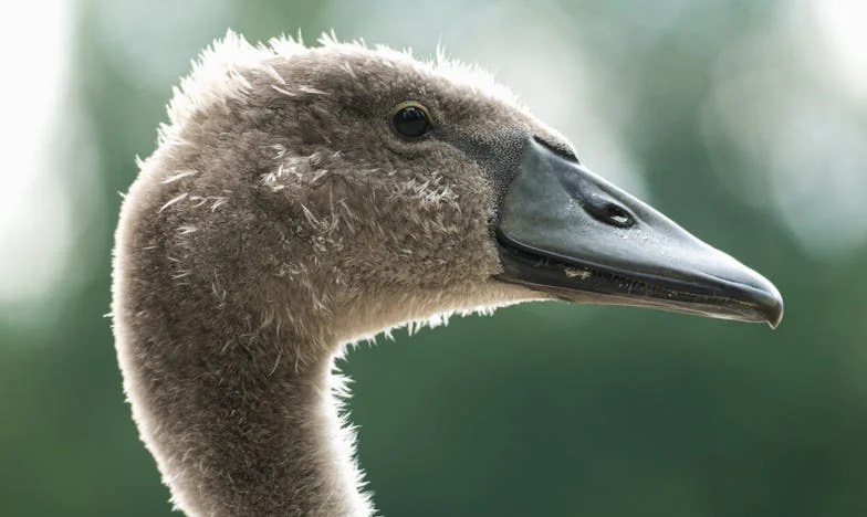 Miért Hasonlít Engem Mindig Az Exéhez? Egy Házasság Határán