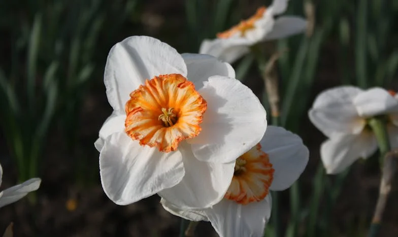 „Miért most vállaltak gyereket?” – Egy nagymama vívódása a családi értékekről és a modern életről