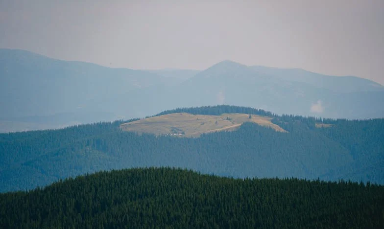 Miért nem vigyázok többé az unokámra: Egy nap, ami mindent megváltoztatott