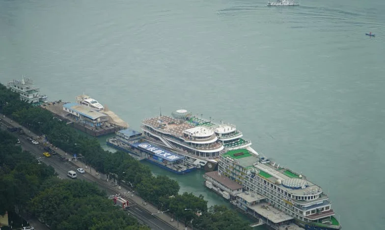 Miért néztem vissza? – Egy magyar apa vallomása a döntésekről, bűntudatról és családról