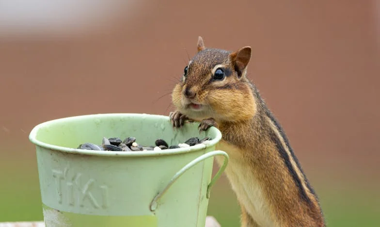Mindig mellettem leszel? – Egy magyar nő harca a családért és önmagáért