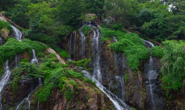 Nem vagyok csak egy háztartási alkalmazott – Egy feleség vallomása