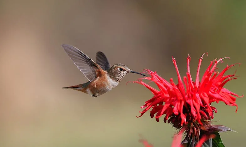 Örökség árnyékában: Egy családi találkozó, ami mindent megváltoztatott