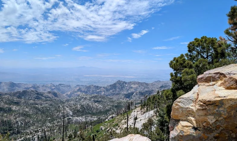 Otthonszülés árnyékában: Függetlenség és veszteség története