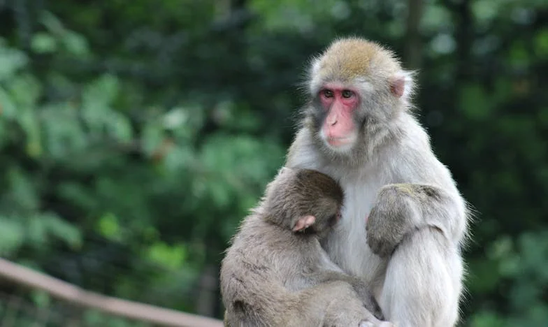 Takarékosság vagy önzés? – Egy házasság határán
