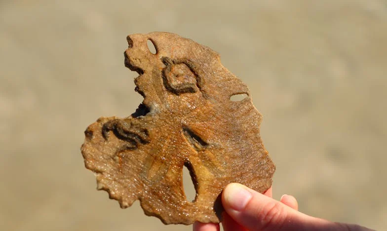 „A fiam felesége megaláz minket, a fiam pedig csak hallgat” – Egy magyar család széthullása a küszöbön