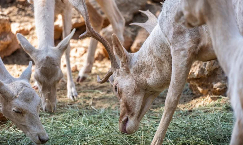 A ház, amit elvesztettem: Egy anya vallomása a saját otthonából való száműzetésről