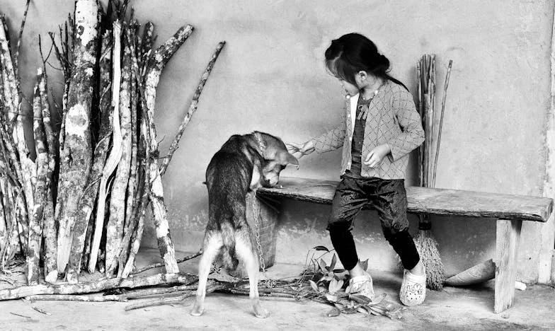 A tökéletes vőlegény árnyékában – Egy család széthullásának története