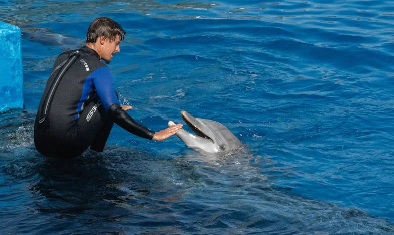 A Váratlan Vő: Egy Család Útja az Elfogadásig