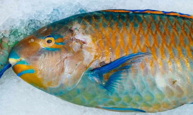 A virágbolt, ahol a boldogság is hervad – Egy magyar nő harca az újrakezdésért