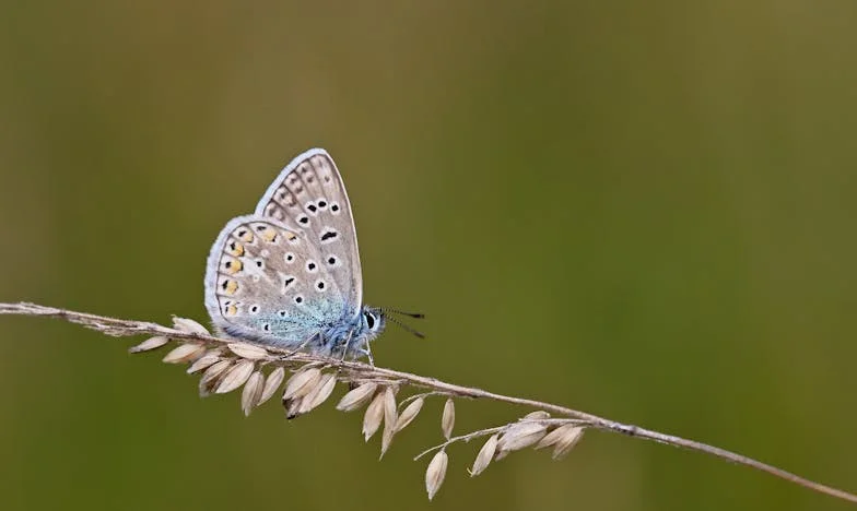 Amikor a múlt visszatér: Egy családi titok árnyékában