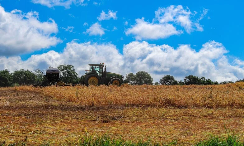 Amikor a szomszédság teherré válik: Egy elveszett barátság története Budapesten