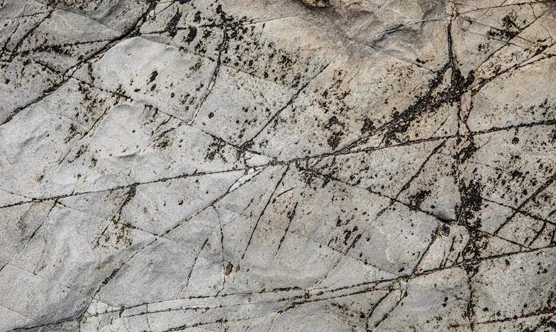 Amikor anyósom beköltözött az életembe: Egy határhúzás története