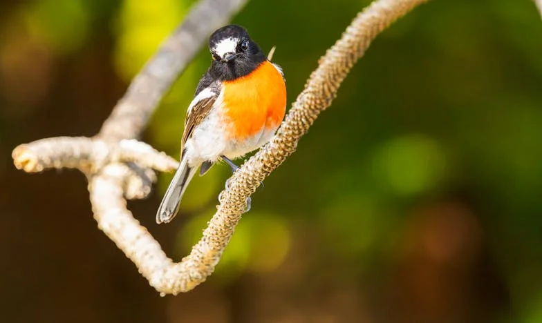 Amikor az igazság fáj: Egy magyar feleség vallomása