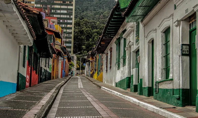 Anyósom árnyékában: Egy magyar meny küzdelmei és bosszúja