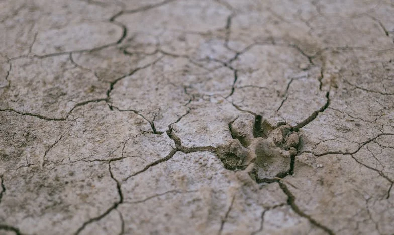Árnyak a mindennapokban: Egy házasság vége és az újrakezdés fájdalma