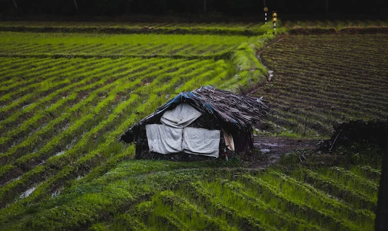 Az anyósom harca az unokájáért: Egy anya vallomása válás után