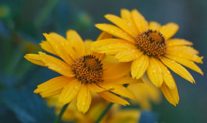 Az igazság terhe: Amikor a nővérem az anyám, és az apám ismeretlen