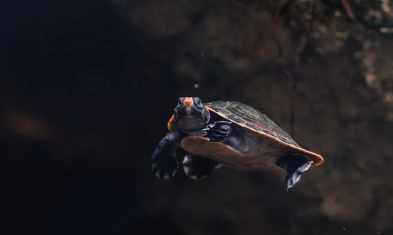 Az utolsó, aki megtudta: Egy anya vallomása a családi árulásról