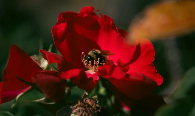Az utolsó beszélgetés: Találkozás a volt férjemmel a fiunk miatt