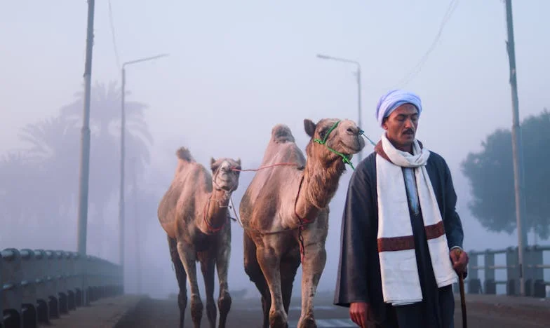 Az utolsó szilvás gombóc – Egy apa-lánya kihívás története