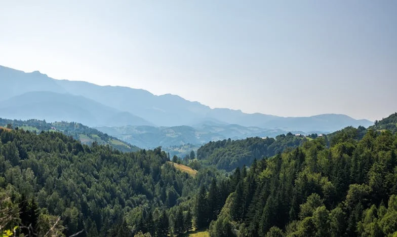 Család vagy csak vendég? – Egy feleség vallomása a családi összetartozásról