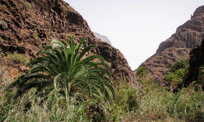 Csend és Igazság Között: Egy Anyai Szív Dilemmája