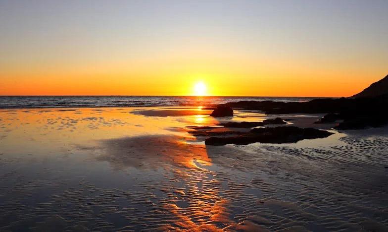 Gyümölcsös sors: Visszatérés a gyökerekhez – Egy magyar falu utolsó asszonyának vallomása