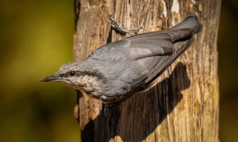 Harc Leáért és Filipért: Egy magyar anya vallomása a válás után