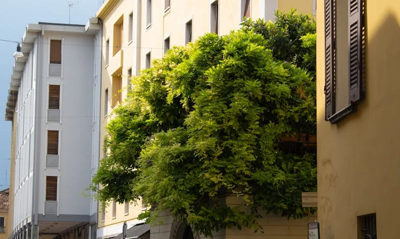 Hatvanévesen újrakezdve: Egy válás története a születésnapomon