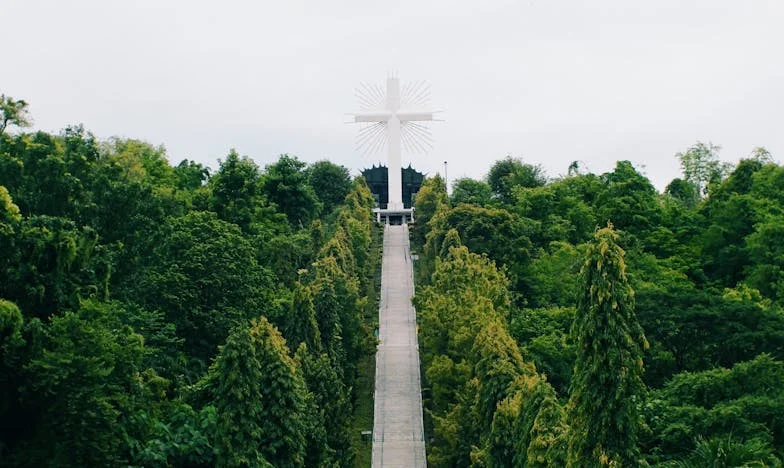Hinni a csodában: Hogyan találtam erőt, amikor anyám ápolására vállalkoztam