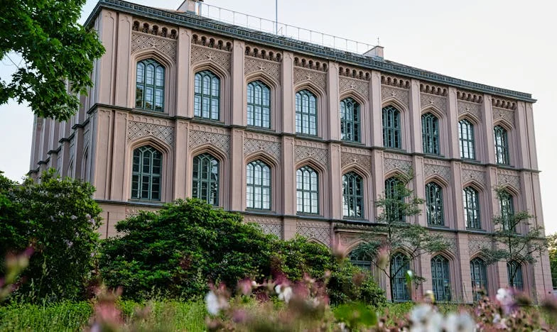 Hogyan tanultam meg nemet mondani – Egy balatoni álom ára