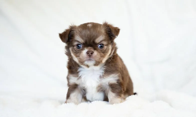 Hol rontottuk el? Egy anya vallomása a családi pénzügyekről és generációs szakadékról