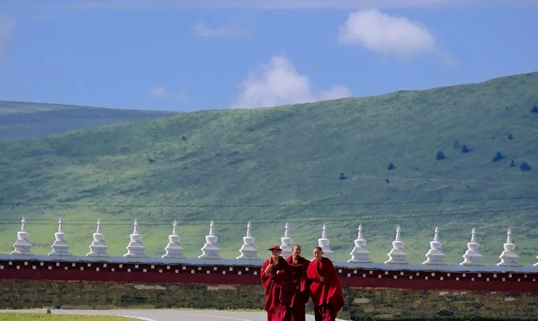 Idegen, de mégis a legközelebbi – Egy magyar panelház titka