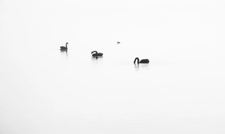 „Írd csak rám mindent! Miért hittél neki? Ő csak átver!” – Egy magyar család széthullása és az újrakezdés fájdalma