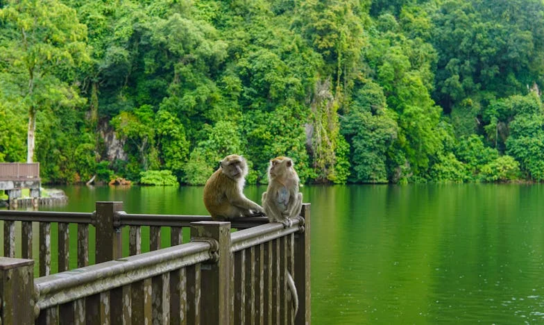 Karácsonyi levél: Egy kislány szíve két család között