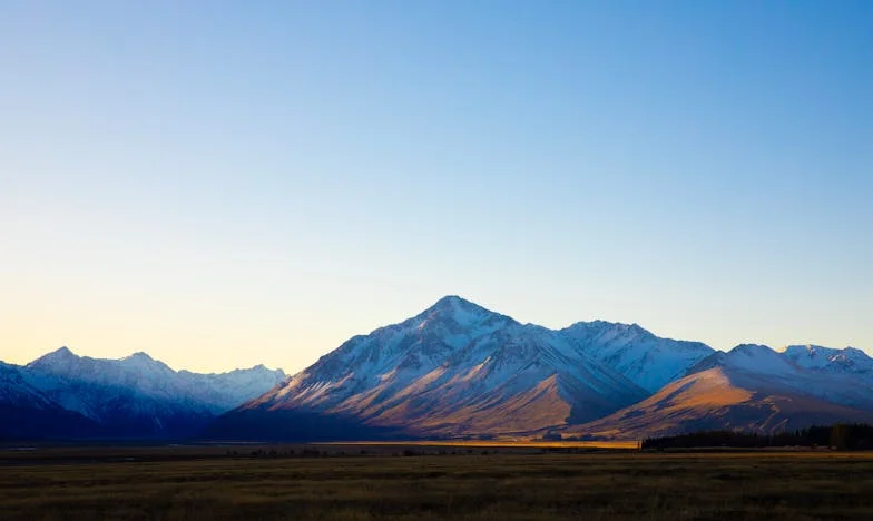 Kedvencek árnyékában: Egy család próbája a hagyományok és elfogadás között