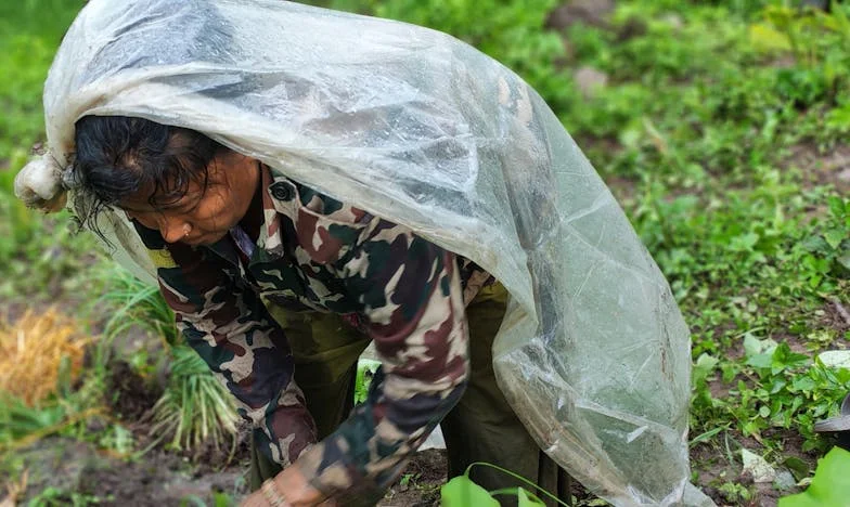 Két Világ Között: Apám Küszöbén Hulló Könnyeim