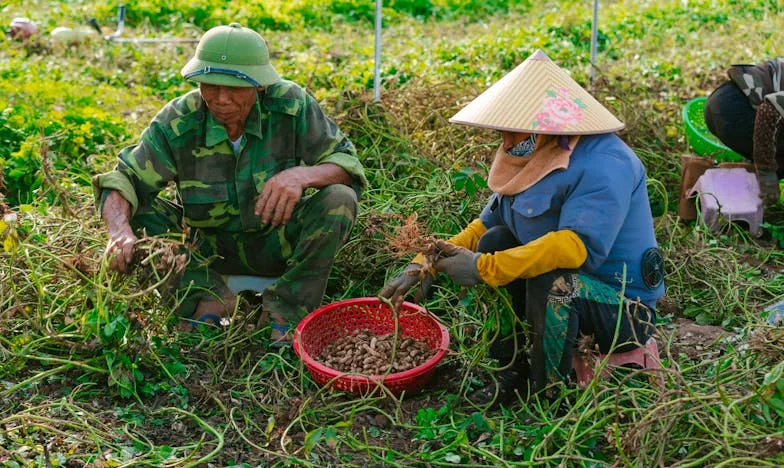 Kölcsön a sógoromtól: Egy döntés, amit sosem bocsátok meg magamnak