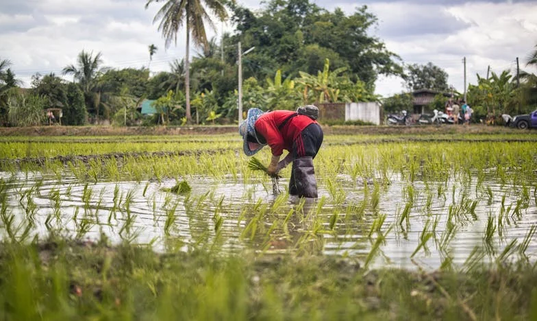 Kulcsok, amelyek mindent megváltoztattak: Hogyan veszítettem el az otthonom a saját lakásomban