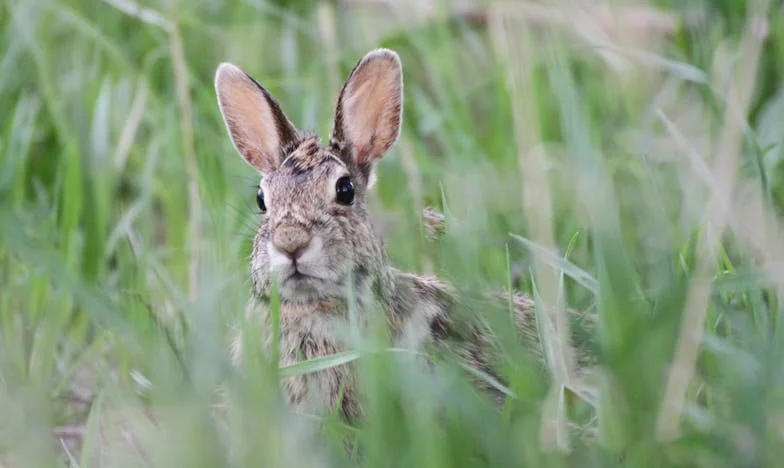 Láthatatlan szál: Barátságom próbája az anyaság árnyékában