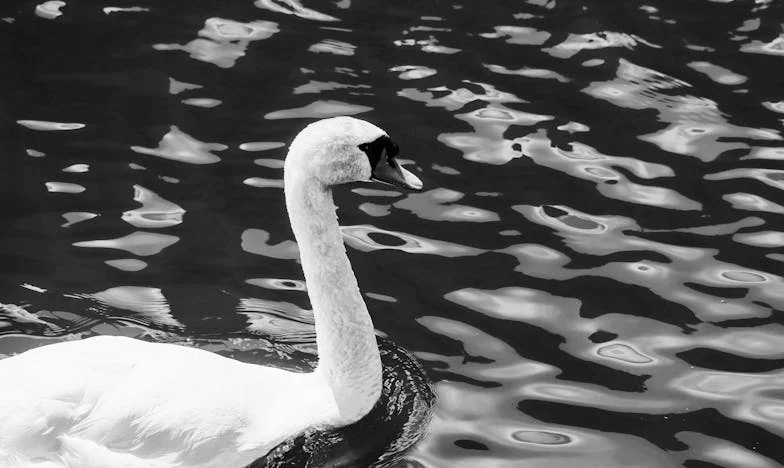 Második esély a boldogságra: Amikor a lányom nem hisz az örömömben