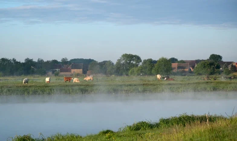 „Nem látod, hogy az anyád nem szereti a fiunkat?” – Egy anya harca a családi békéért