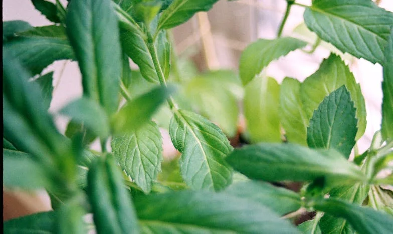 „Nincs kiságy, nincs pelenkázó, még csak egy cumisüveg sem” – Egy anya hazatérése a káoszba