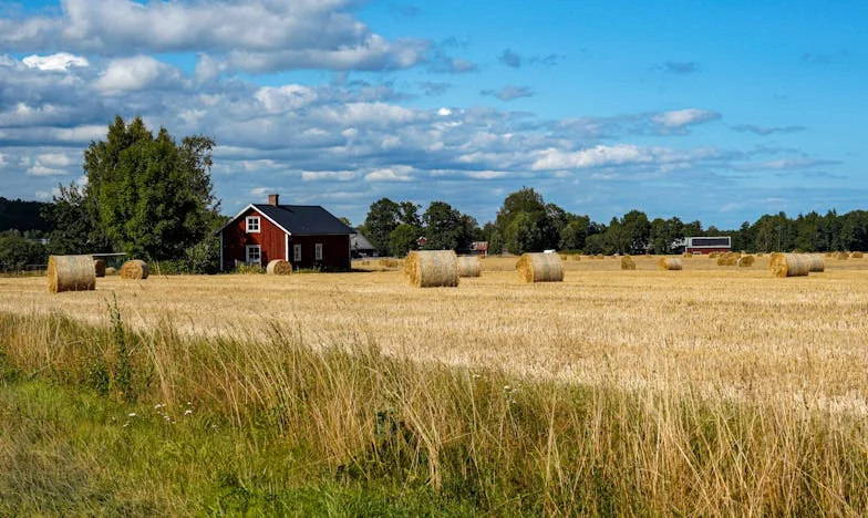 „Senki sem ad mosógépet vagy hűtőt nászajándékba” – Egy magyar család története