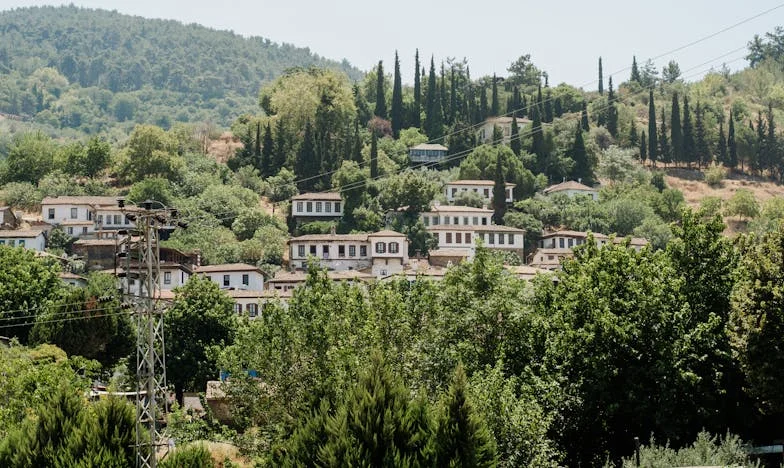 Testvéri szívesség vagy családi kötelesség? – Egy testvérharc története