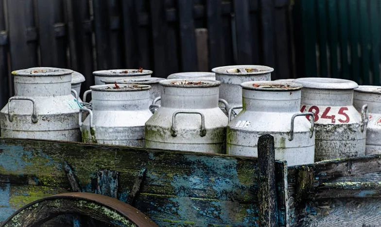 Újjászületés a romokból: Egy elhagyott feleség története