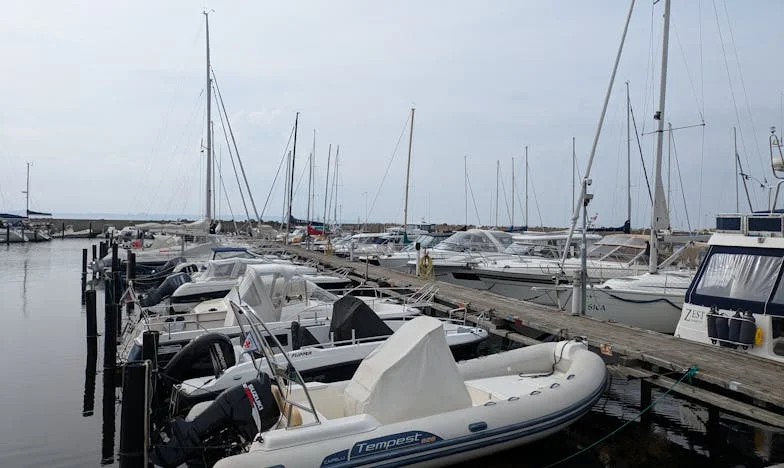 Vak lány és a koldus: Éva története, amely mindenkit meglepett