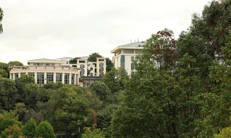 A kimondatlan figyelmeztetések visszhangja: Marika, Luca és a családunk története